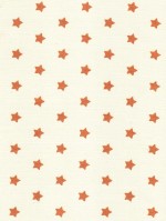 Sterretje wit-koper acryl