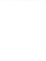 Plakfolie transparant mat