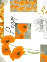 Fotoprint klaproos oranje