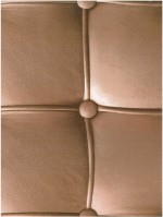 Plakfolie Buckingham