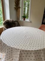 Flashou creme-zandgrijs