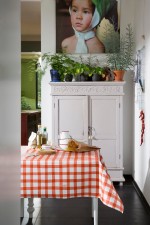 Tafelzeil itchy vichy lipstick