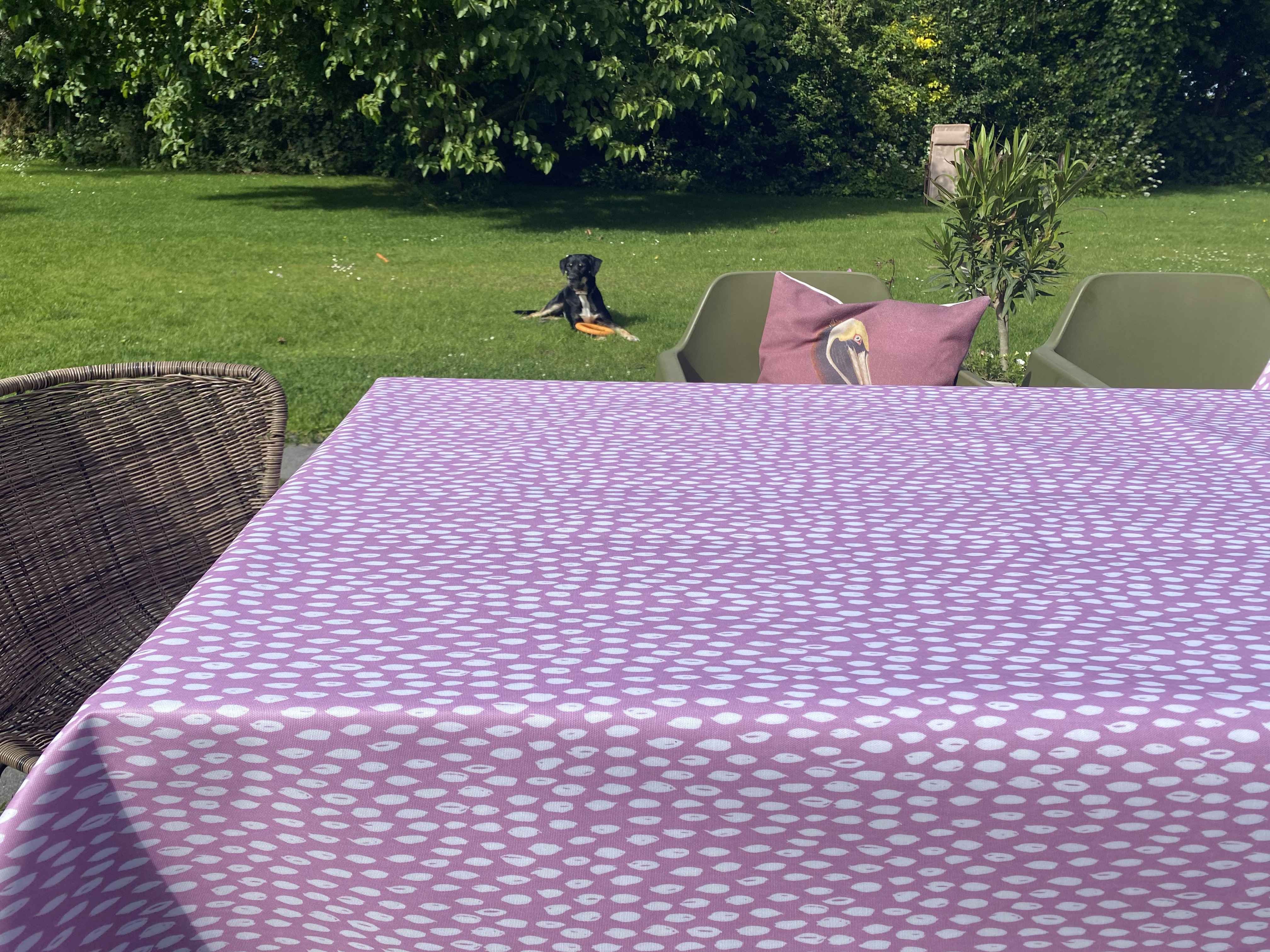 Exquisite 66% dikker premium ivoor rond tafelkleed 0,5 miljoen 12 stuks