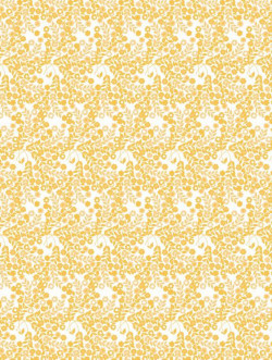 Lola Wallflower saffron
