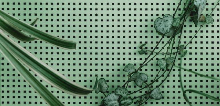 Groen plakfolie