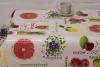 Fotoprint fruits du Soleil