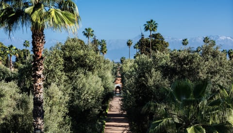 La Mamounia Marrakesch