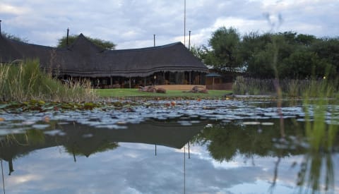 Okonjima Luxury Bush Camp