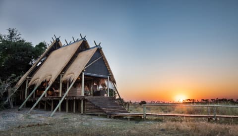 Selinda Camp –  Great Plains Conservation