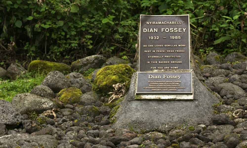 Der Grabstein von Dian Fossey 