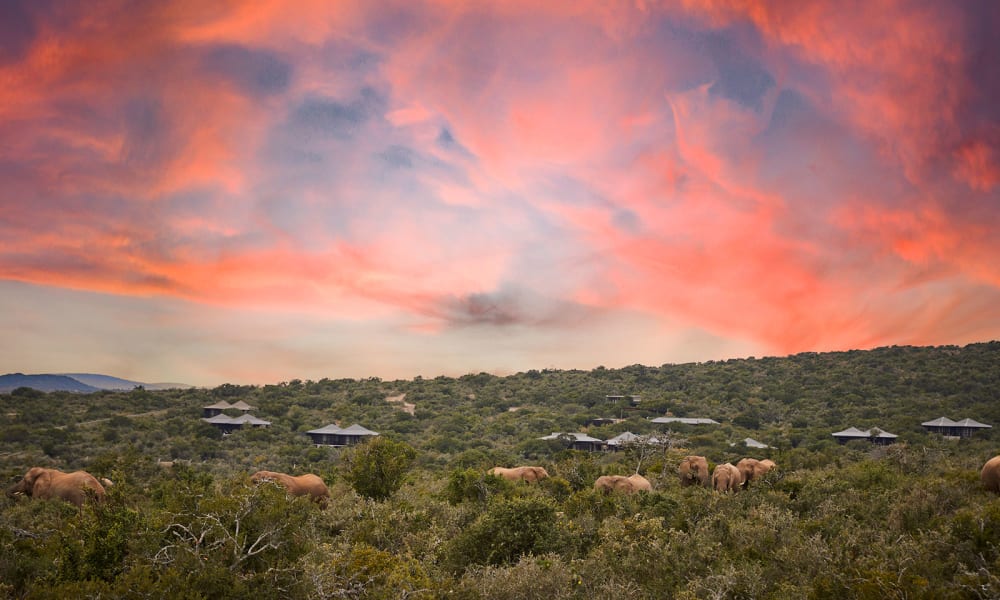 Kwandwe Private Game Reserve