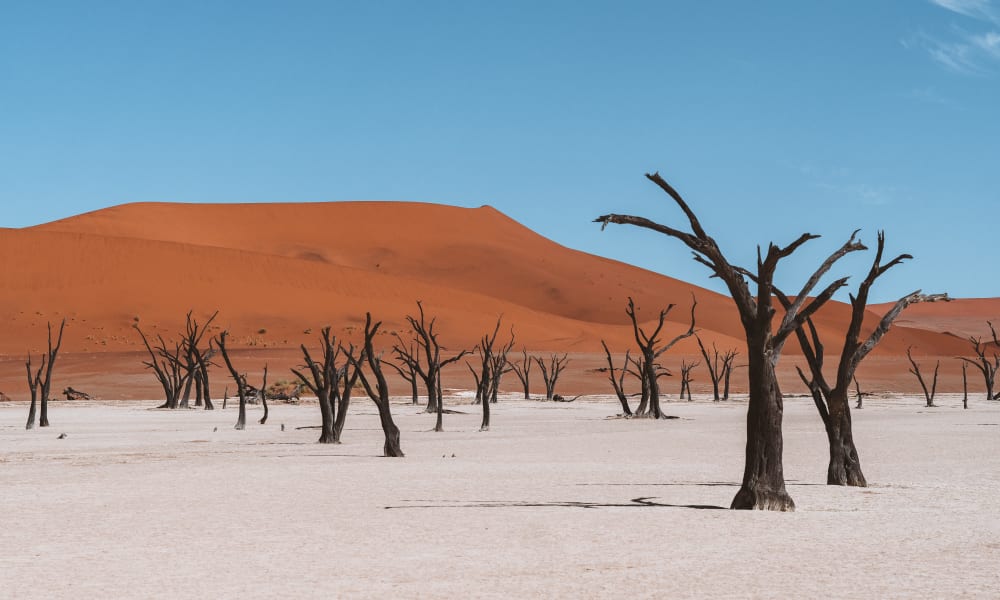 Wüstenlandschaft im Dead Vlei in Namibia