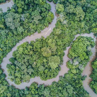 Flusslauf inmitten eines Regenwald von oben