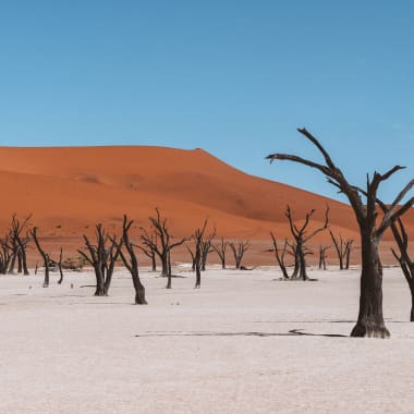 Wüstenlandschaft im Dead Vlei in Namibia