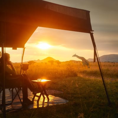 Frau beobachtet eine Giraffe bei Sonnenuntergang vor Ihrem Zelt