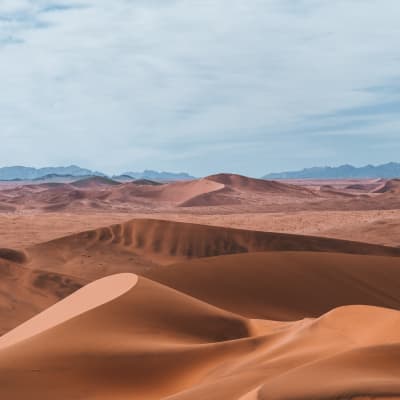 Wüstenlandschaft der Namib-Wüste