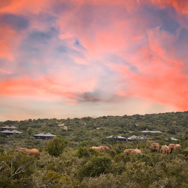 Kwandwe Private Game Reserve