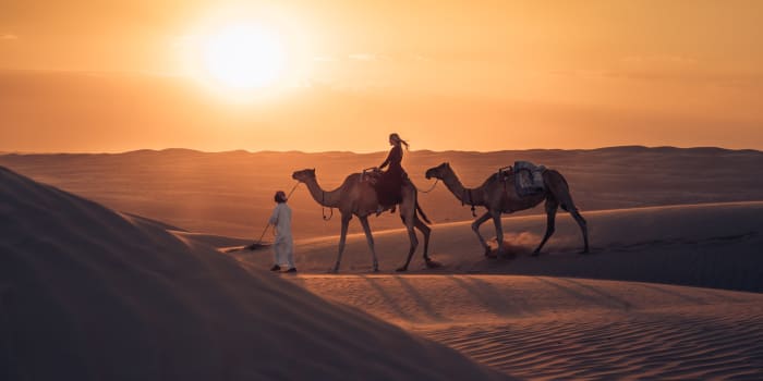 Oman-Wahiba-Wüste-Kamele-Sonnenuntergang