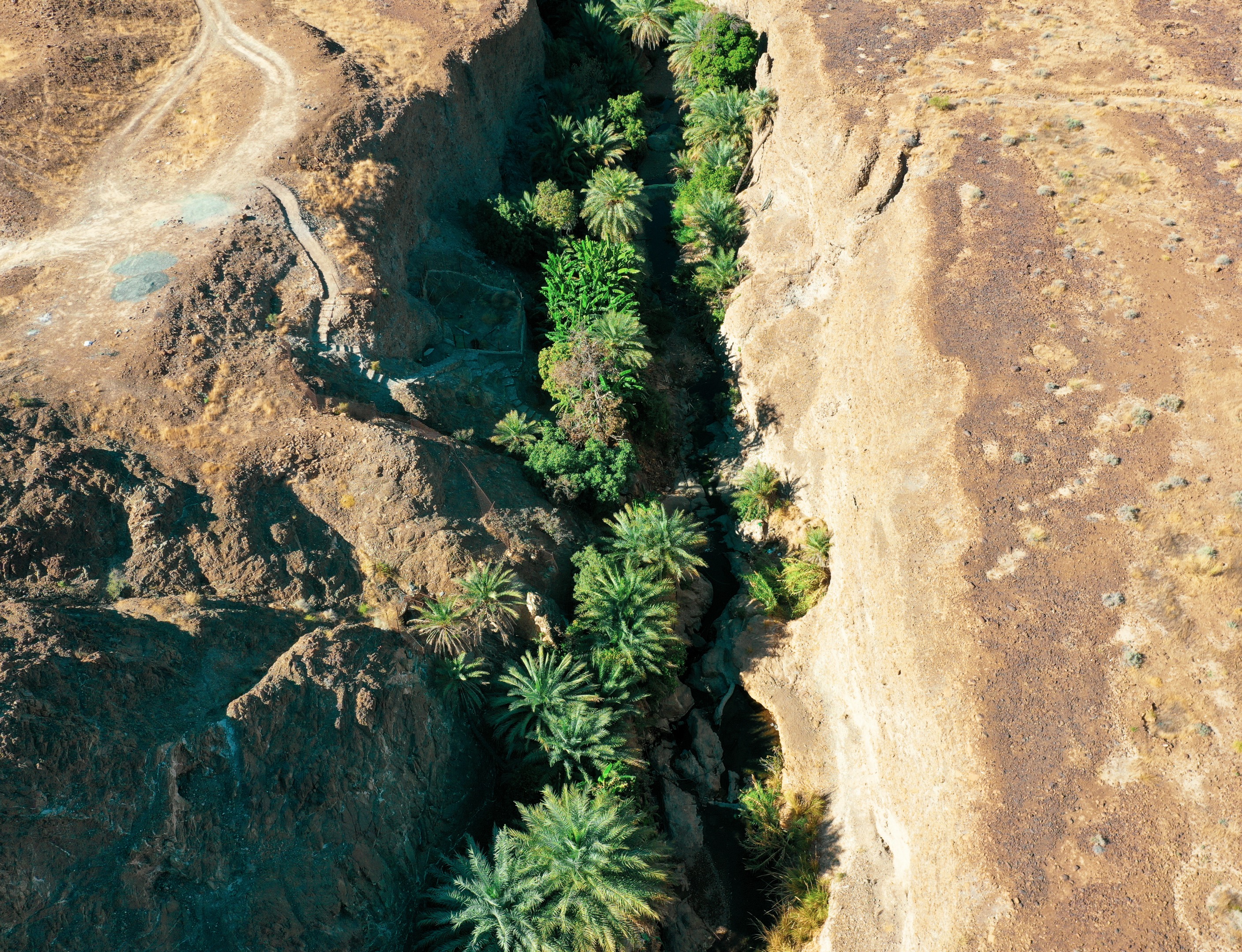 Wadi Al Abadelah