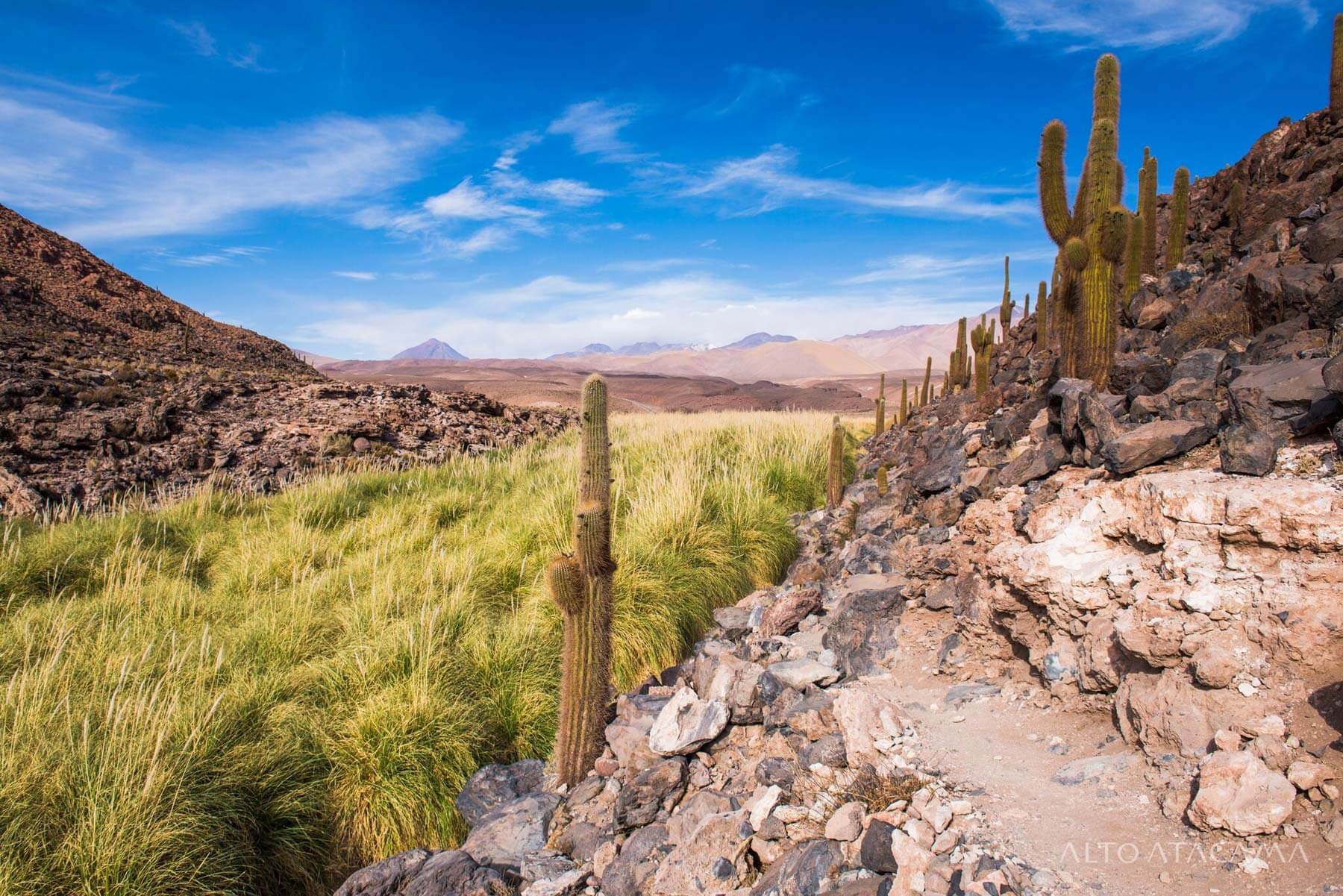 Landschaften von der Atacama Wüste