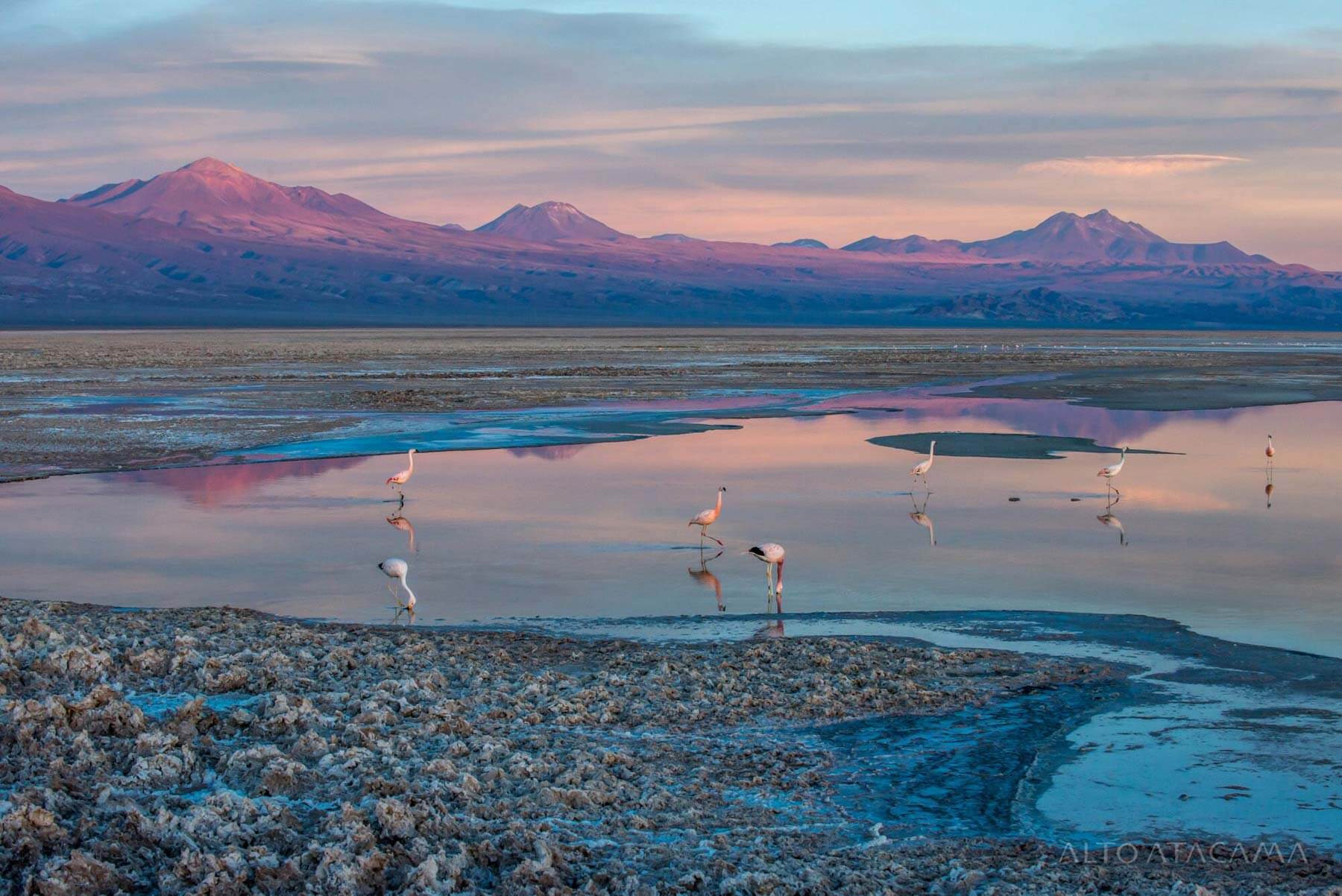 Landschaften von der Atacama Wüste