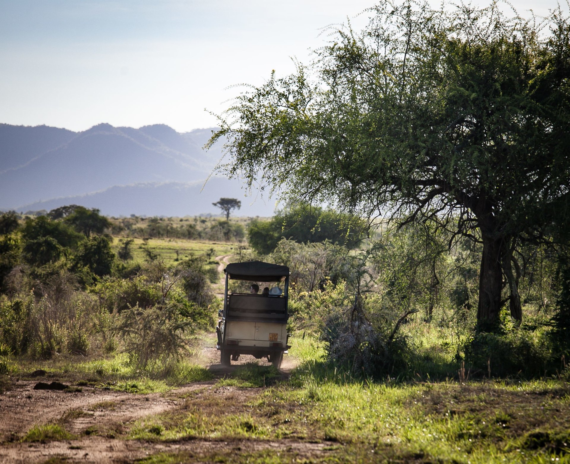 Pirschfahrt im Kidepo Valley Nationalpark in Uganda