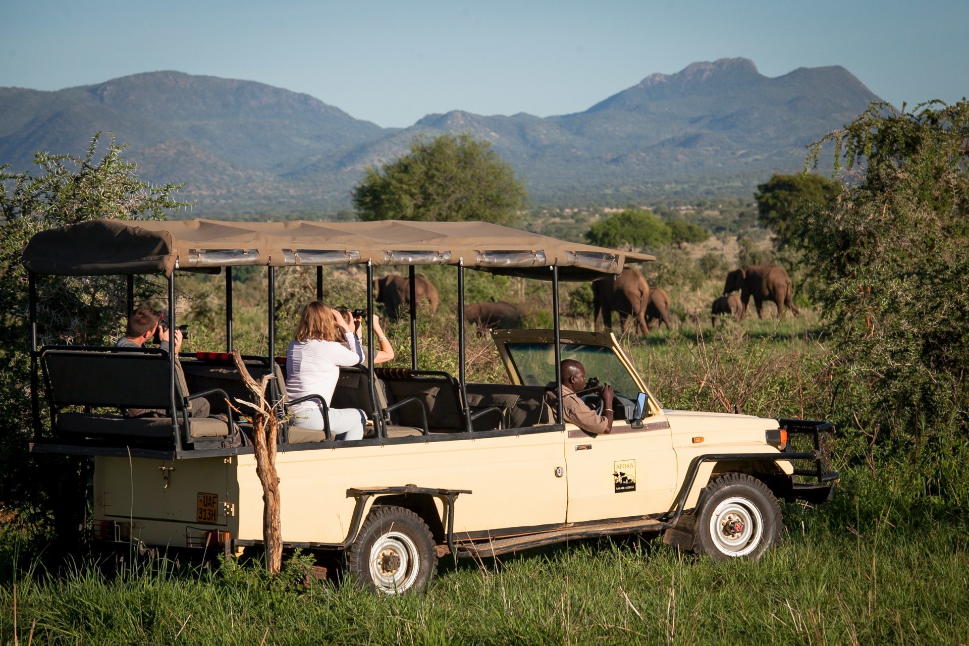 Elefantenbeobachten im Kidepo Valley Nationalpark in Uganda