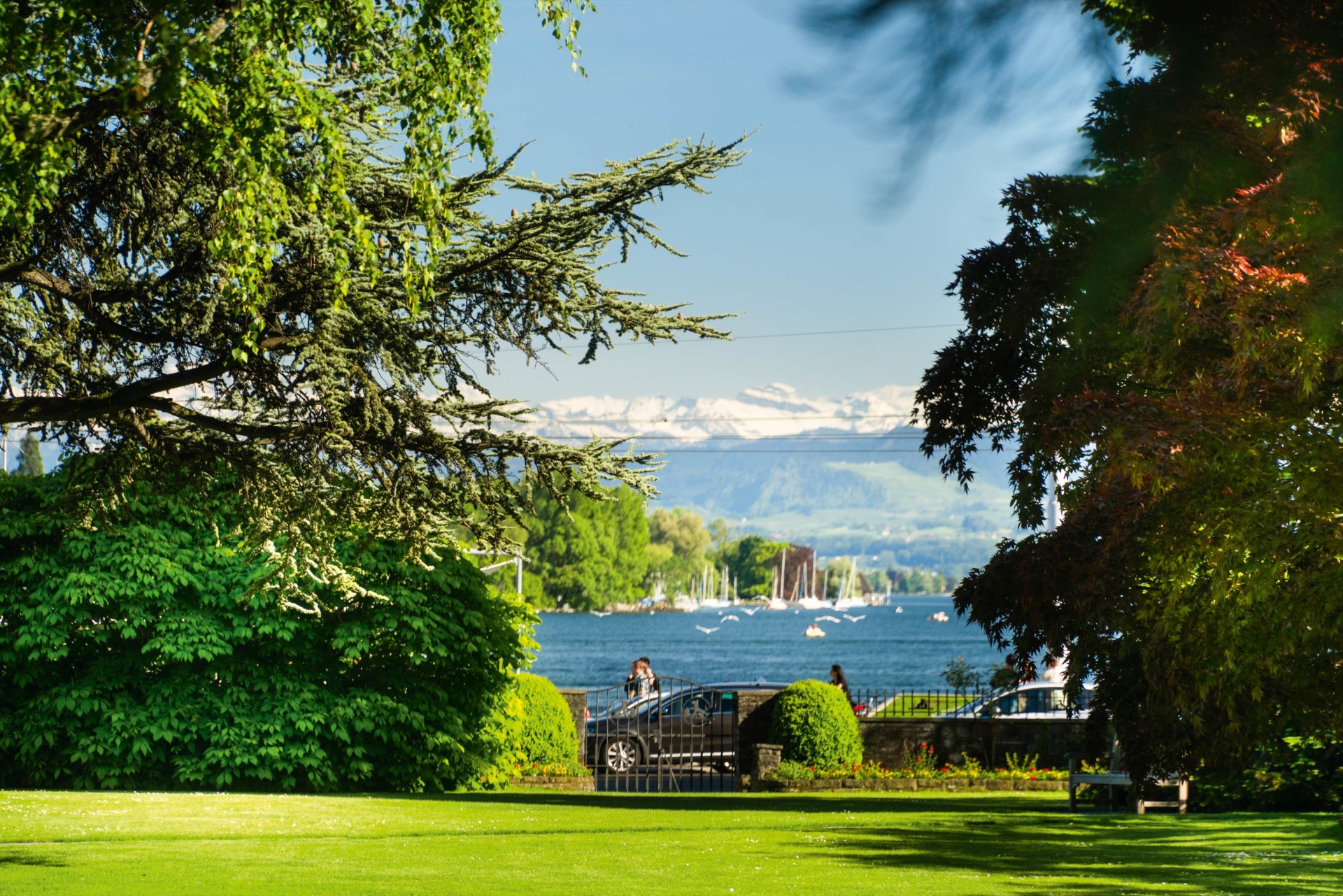 Park des Baur au Lac