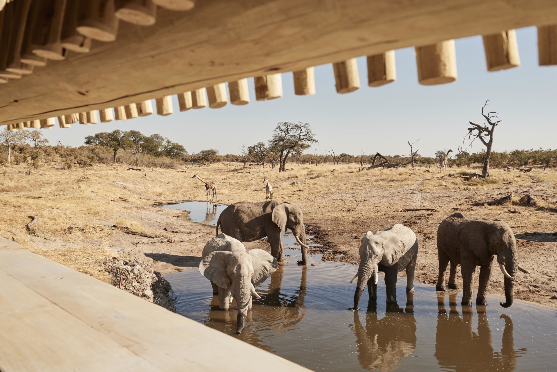 Ausblick von der Belmond Savute Elephant Lodge