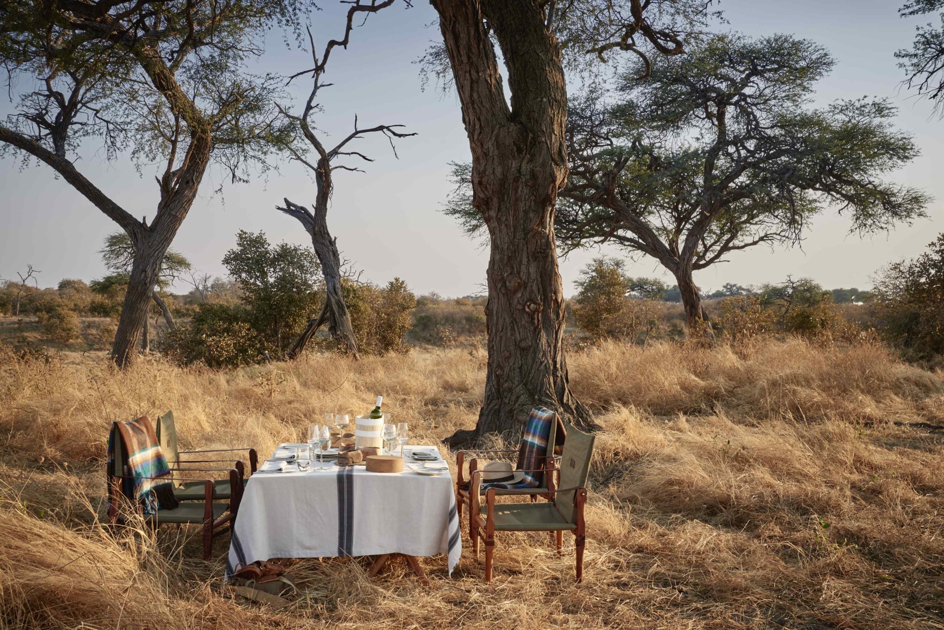 Mittagessen in der Wildnis nahe der Belmond Savute Elephant Lodge