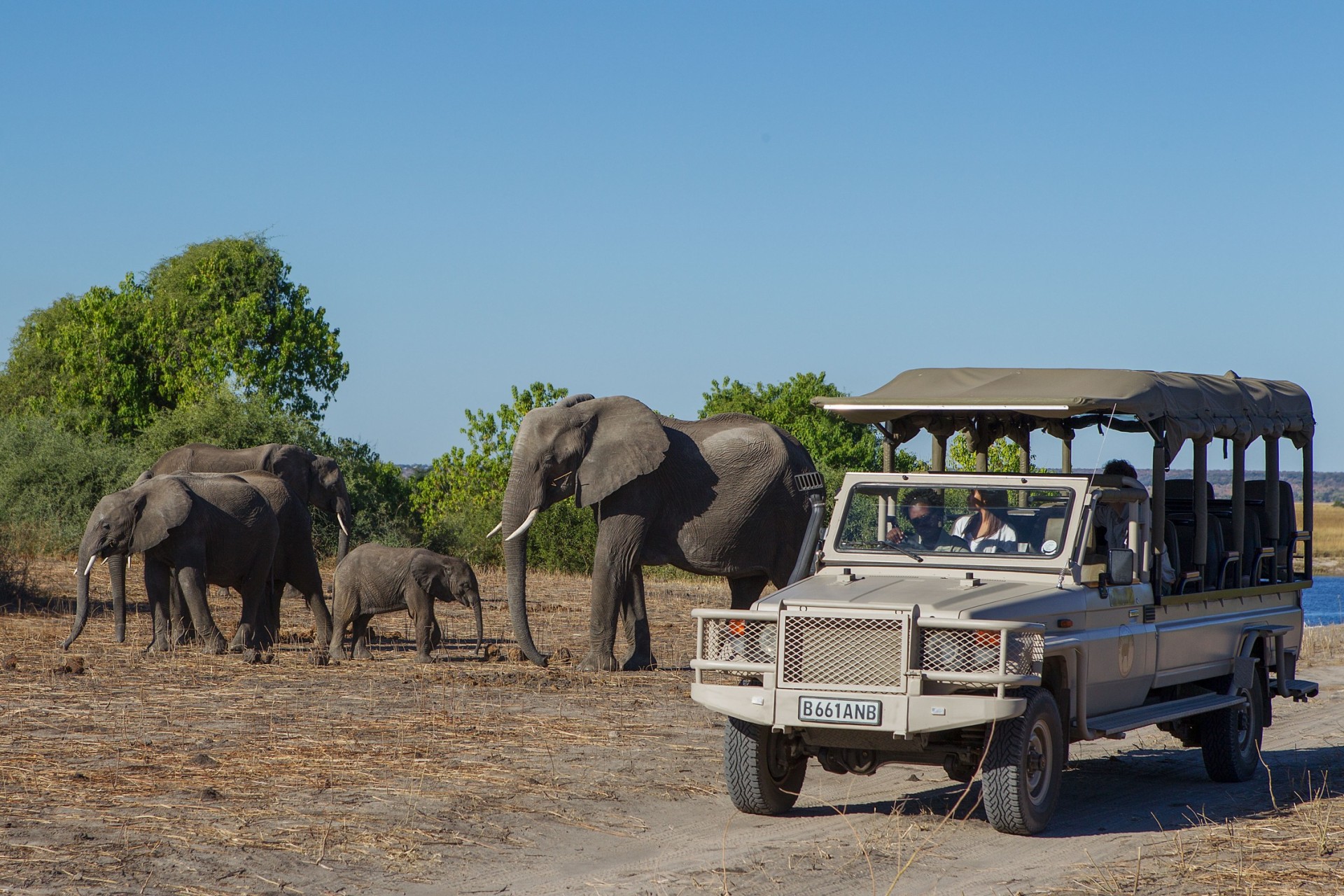 Safari mit Elefantenbeobachtung nahe der Chobe Game Lodge