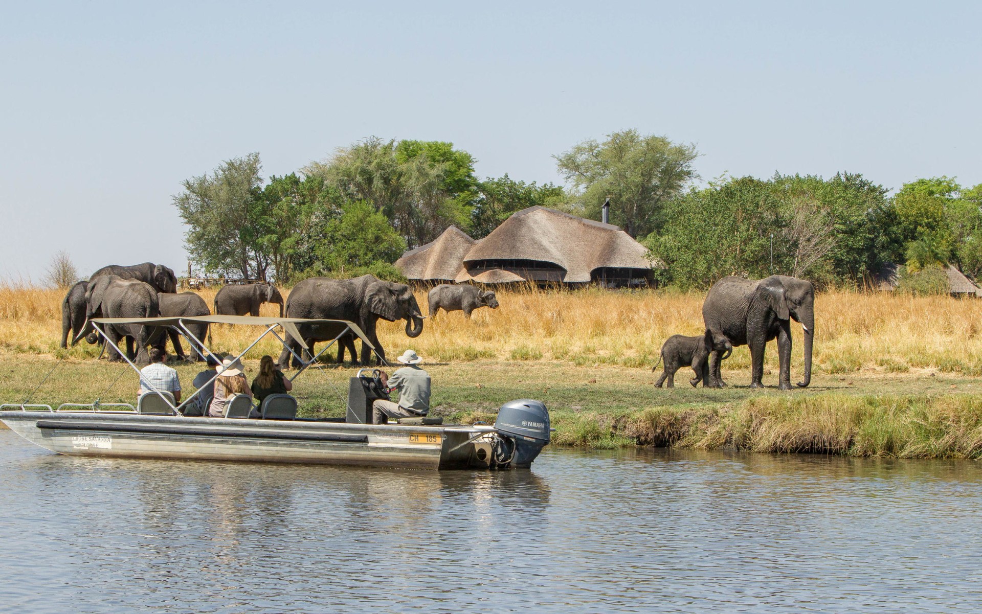 Flusssafari nahe der Chobe Savanna Lodge