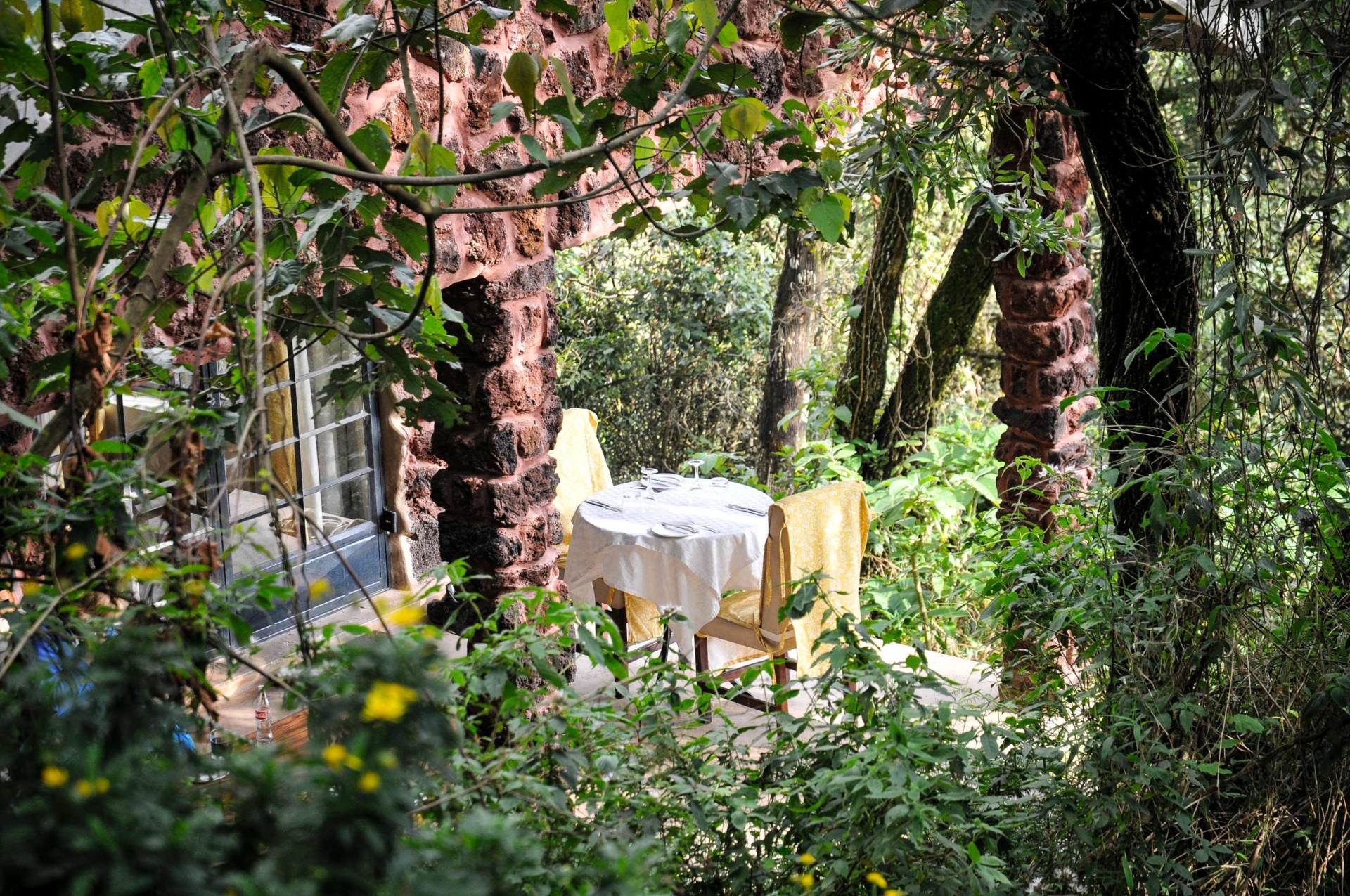 Privates Abendessen in der Clouds Mountain Gorilla Lodge