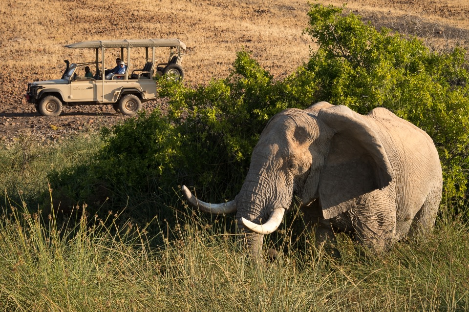 Elefantenbeobachtung in Namibia