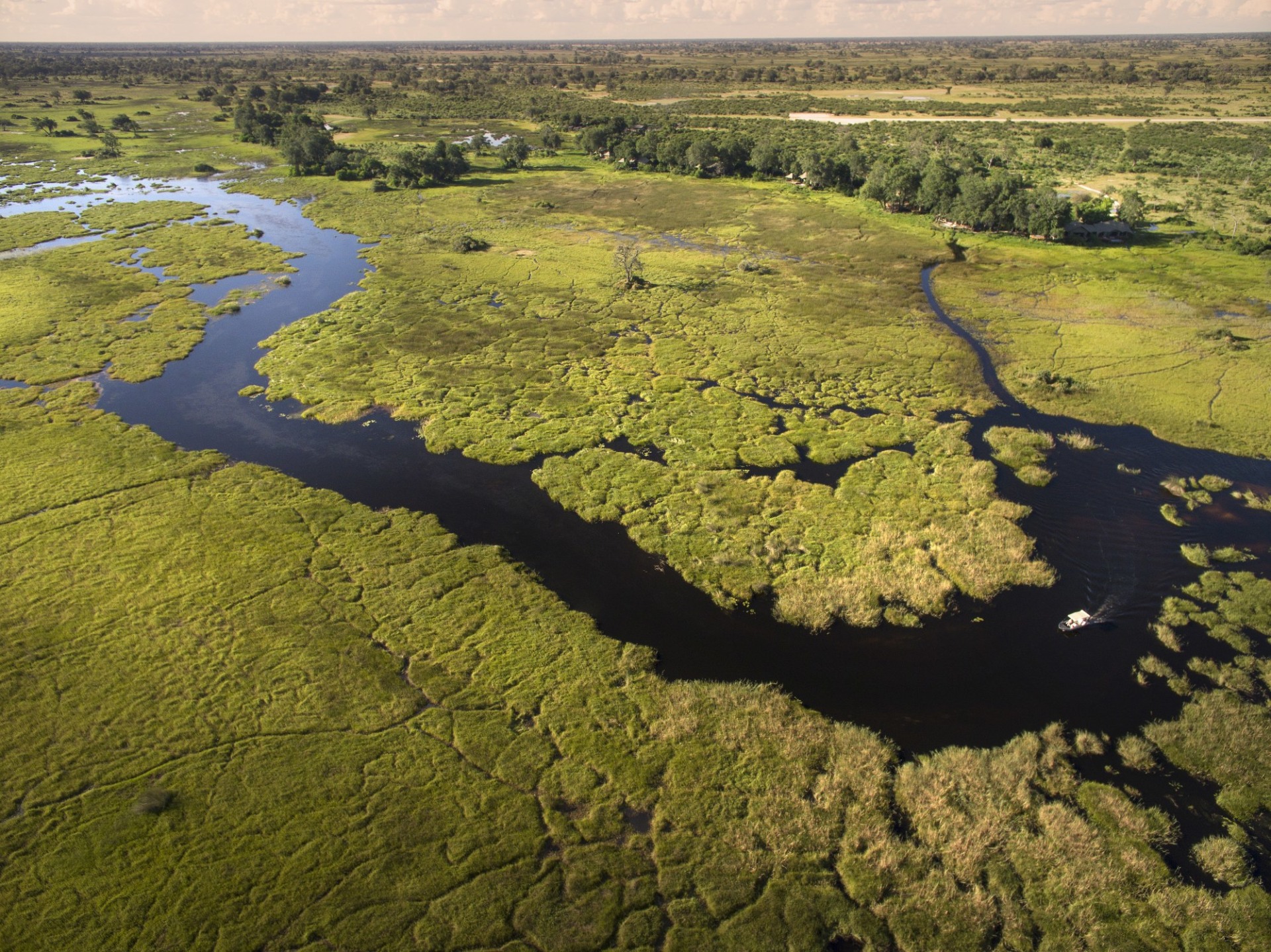 Areal des Duba Plains Camp