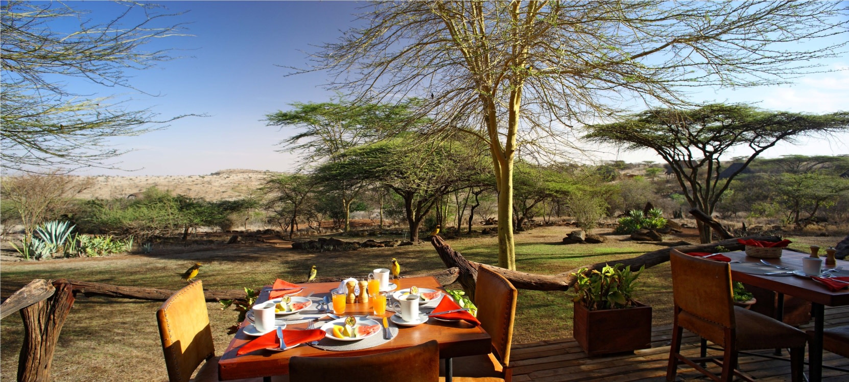 Fruehstueck auf der Terrasse des Lewa Safari Camp