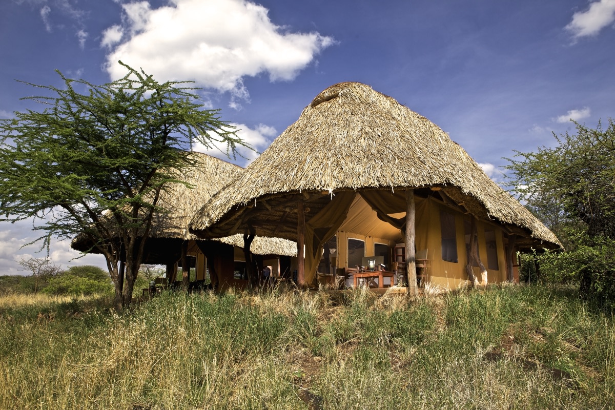 Aussenansicht des Familienzelts im Lewa Safari Camp