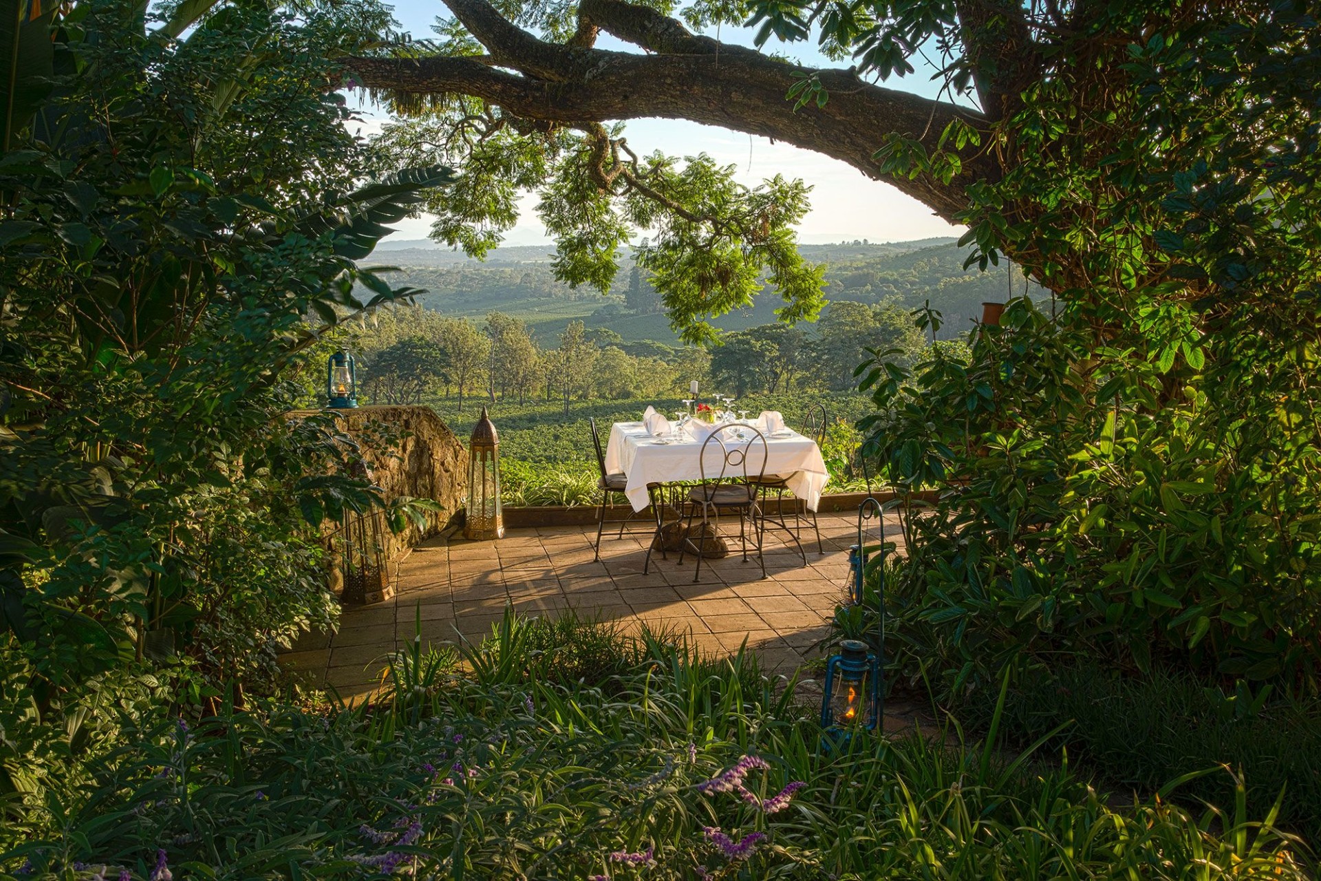 Abendessen in der Gibb's Farm