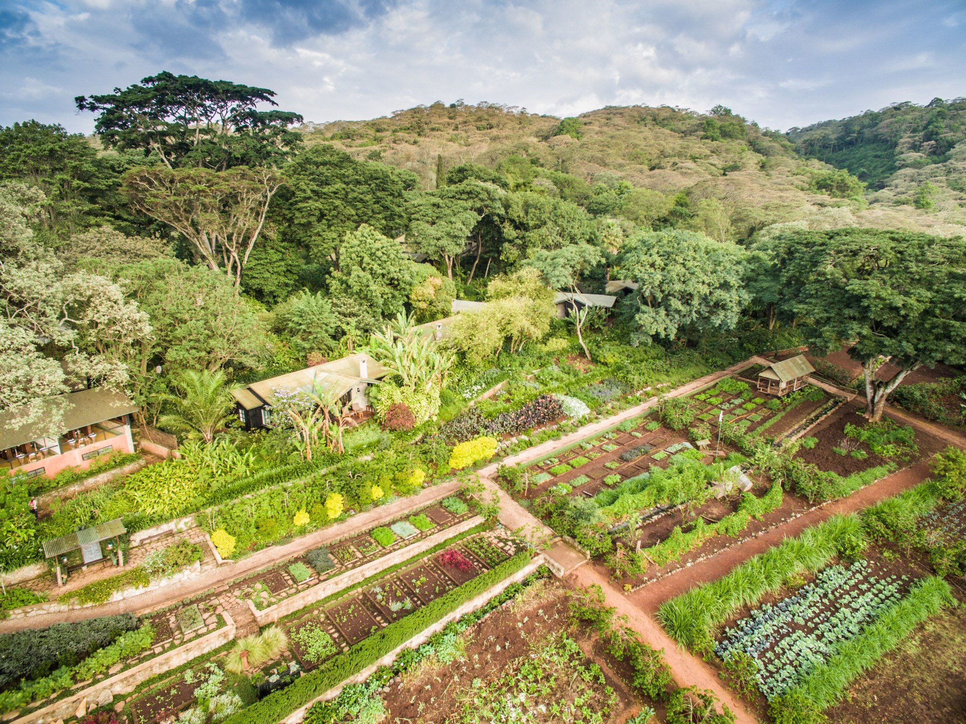 Gemuesegarten der Gibb's Farm