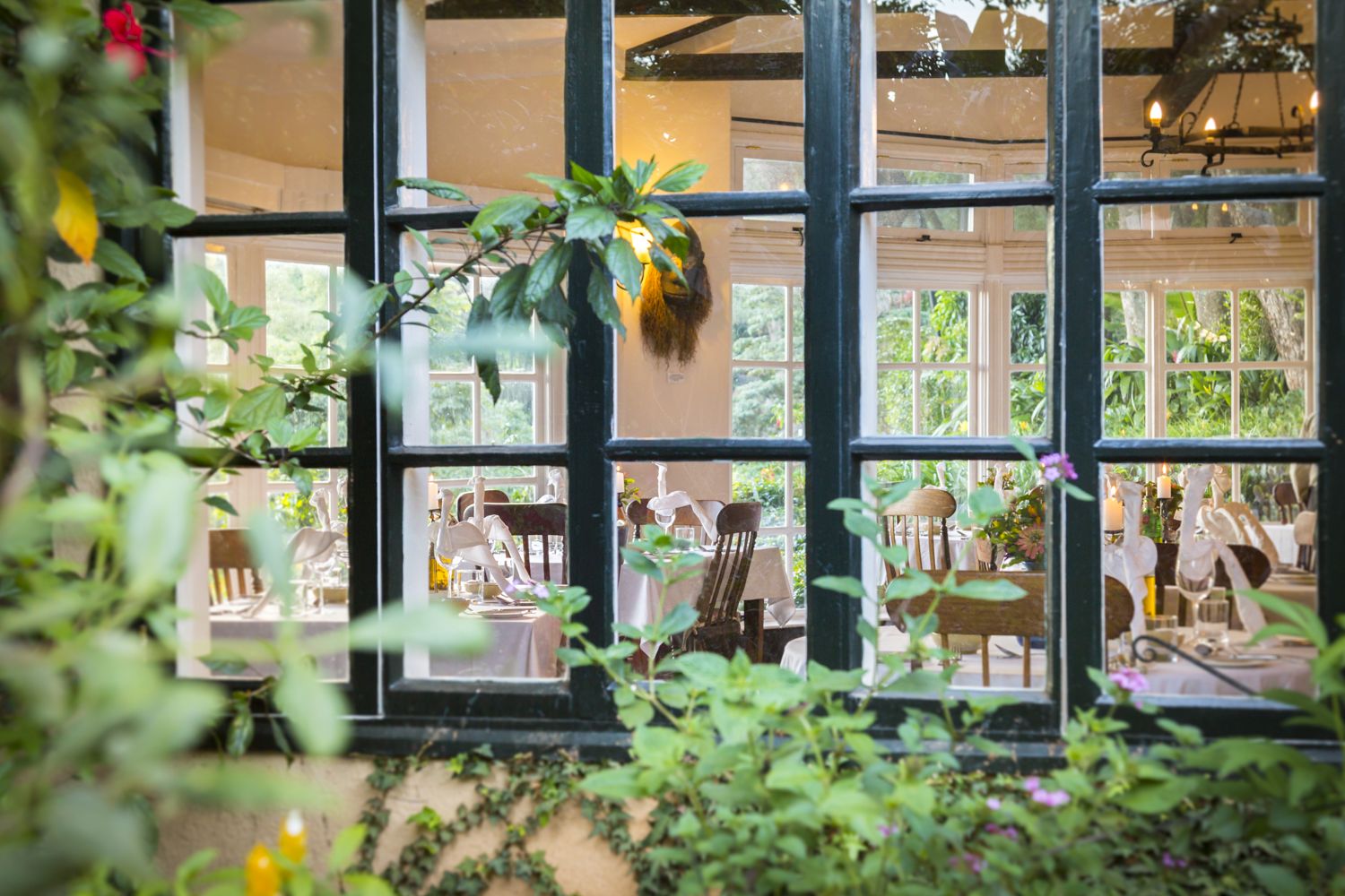 Abendessen im Restaurant der Gibb's Farm