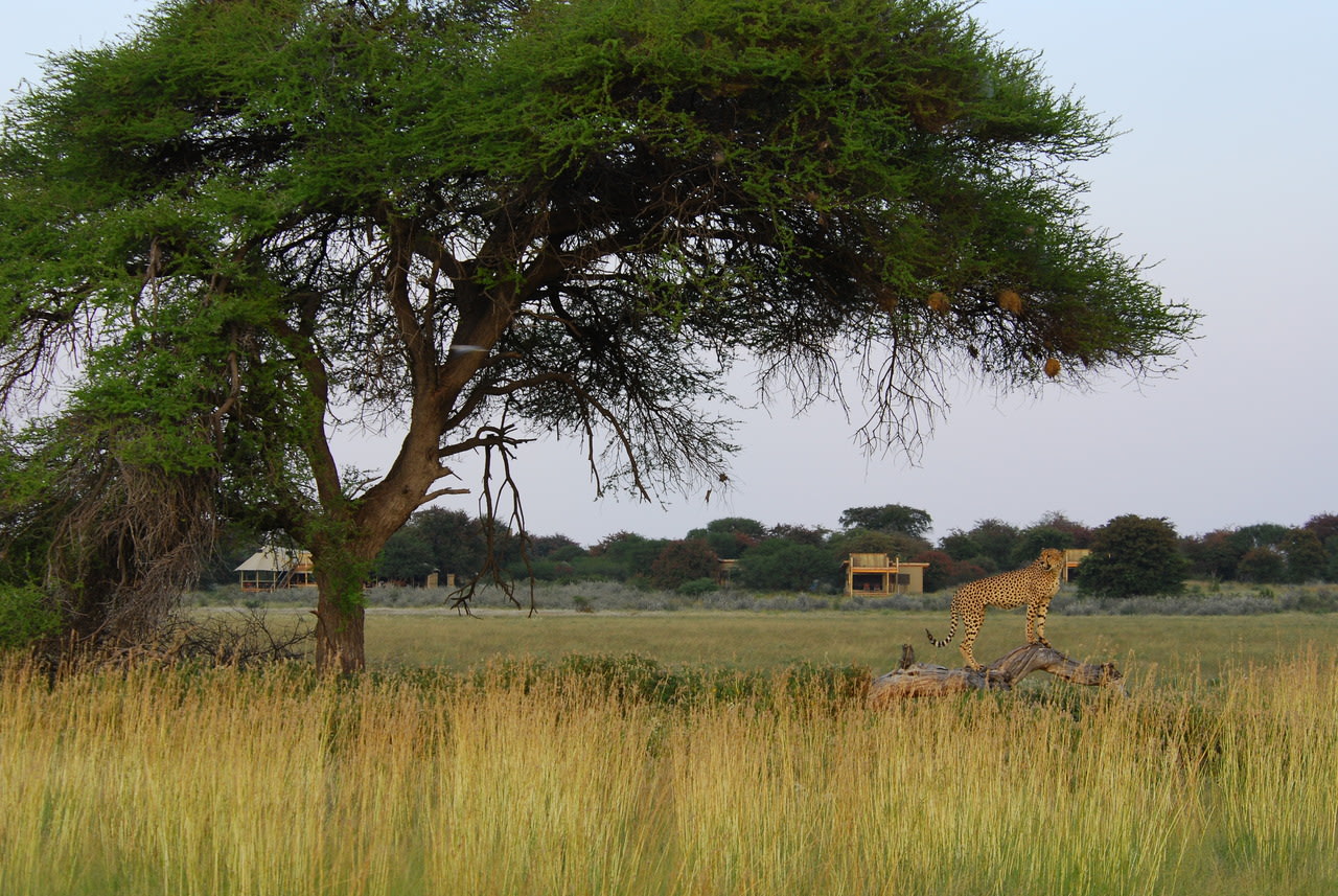 Lage des Kalahari Plains Camp in Botswana