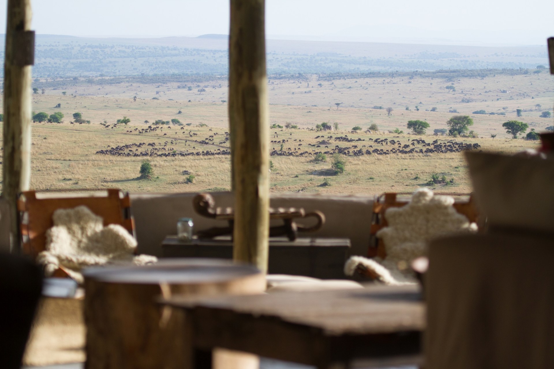 Ausblick vom Lamai Serengeti auf Gnuherden