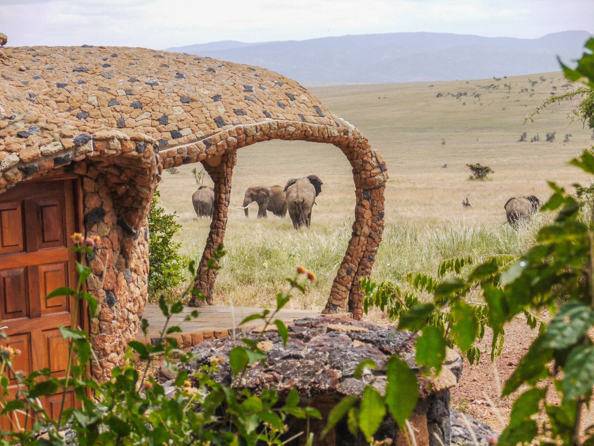 Gaeste Cottage von aussen mit Blick auf Elefanten im Lewa House