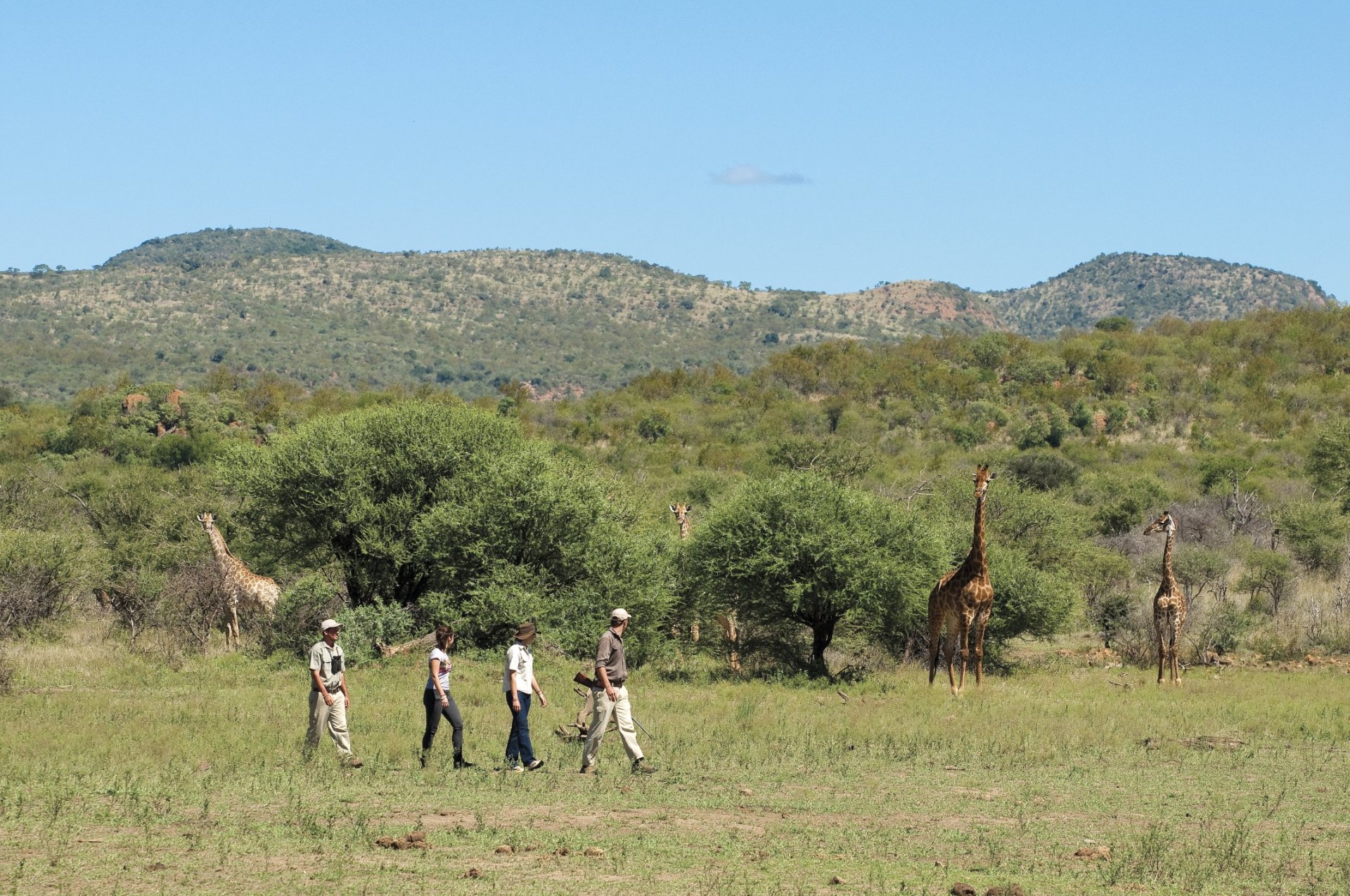 Walking Safari bei der Madikwe Safari Lodge