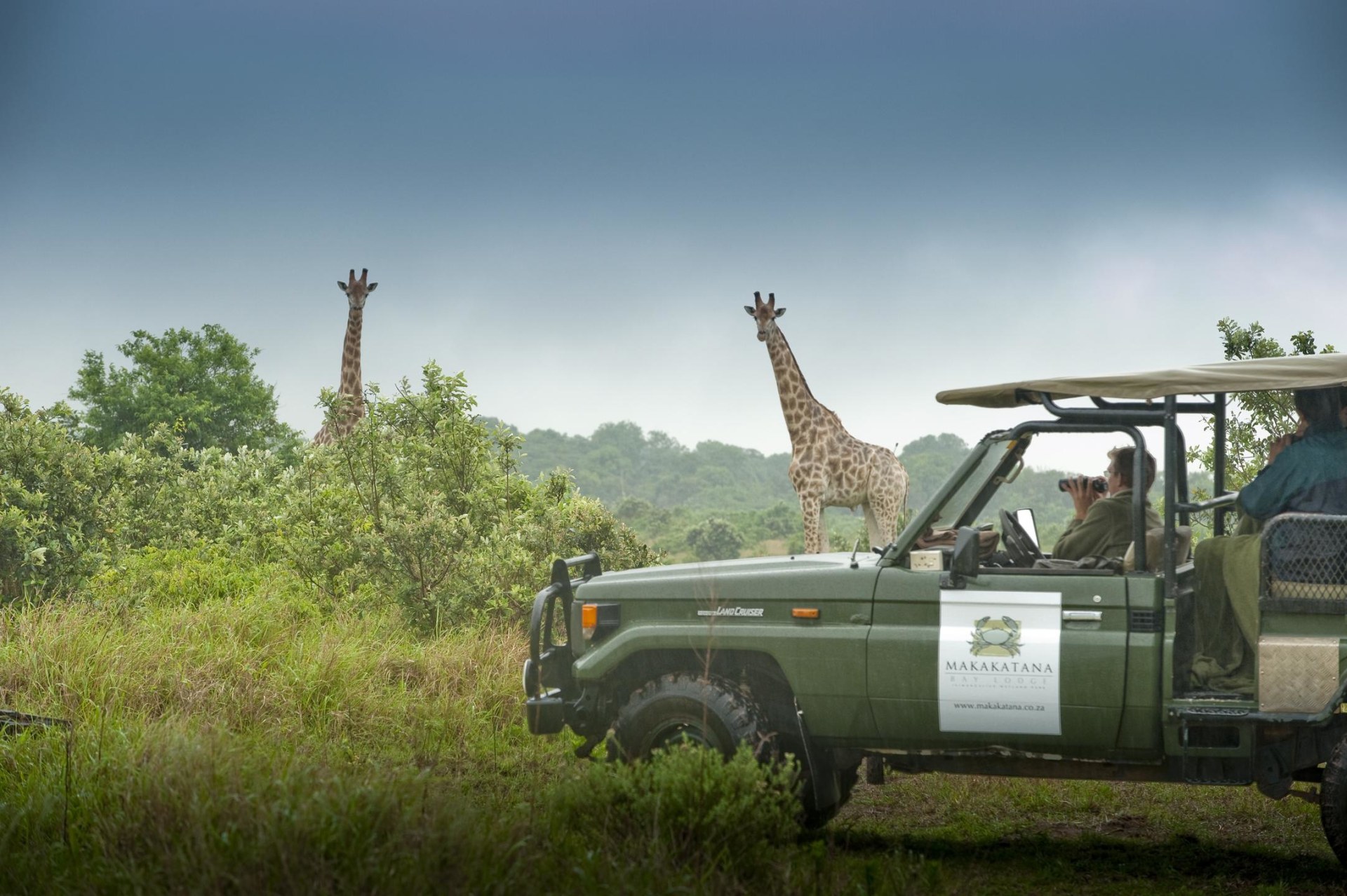 Safari in der Makakatana Bay Lodge