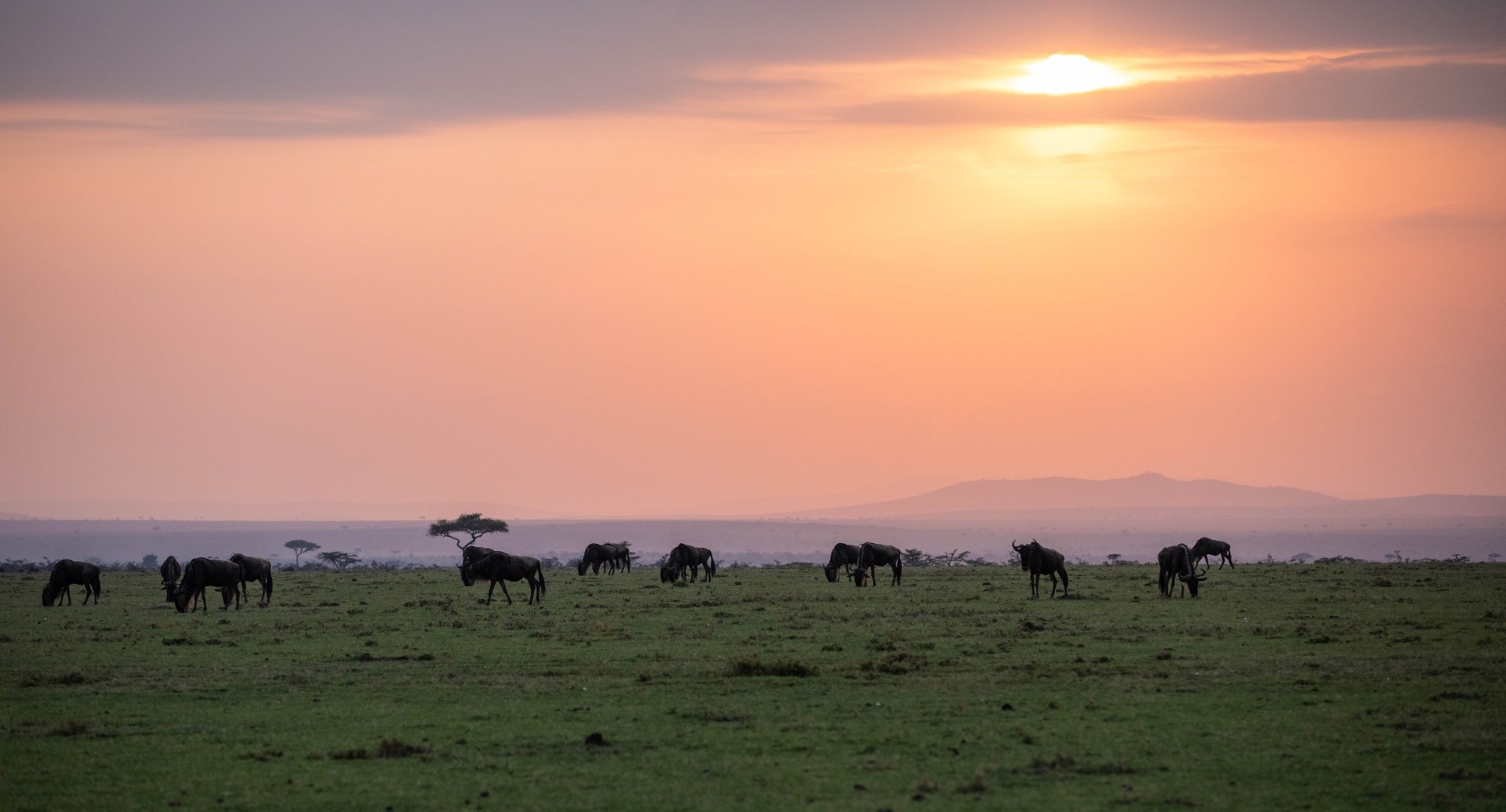 Sonnenuntergang in der Masai Mara