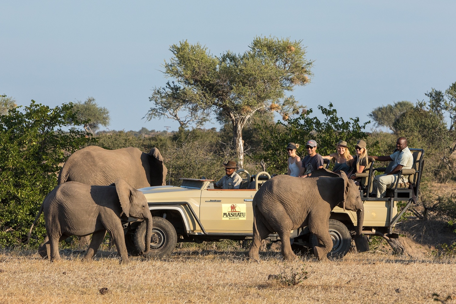 Pirschfahrt in der Naehe der Mashatu Lodge in Botswana