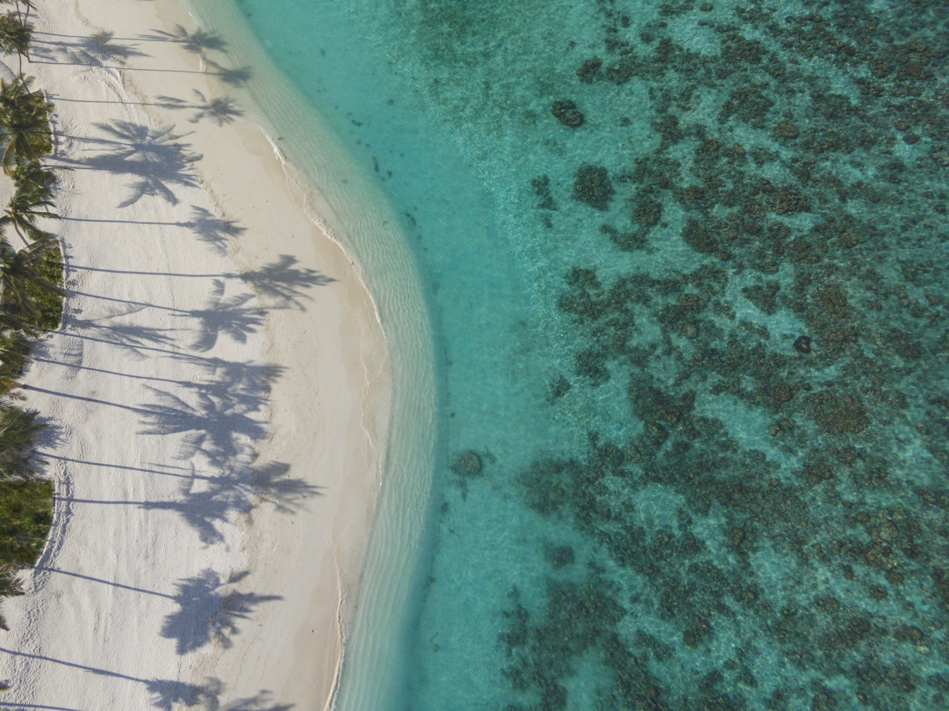 Strand von Milaidhoo Island Maldives