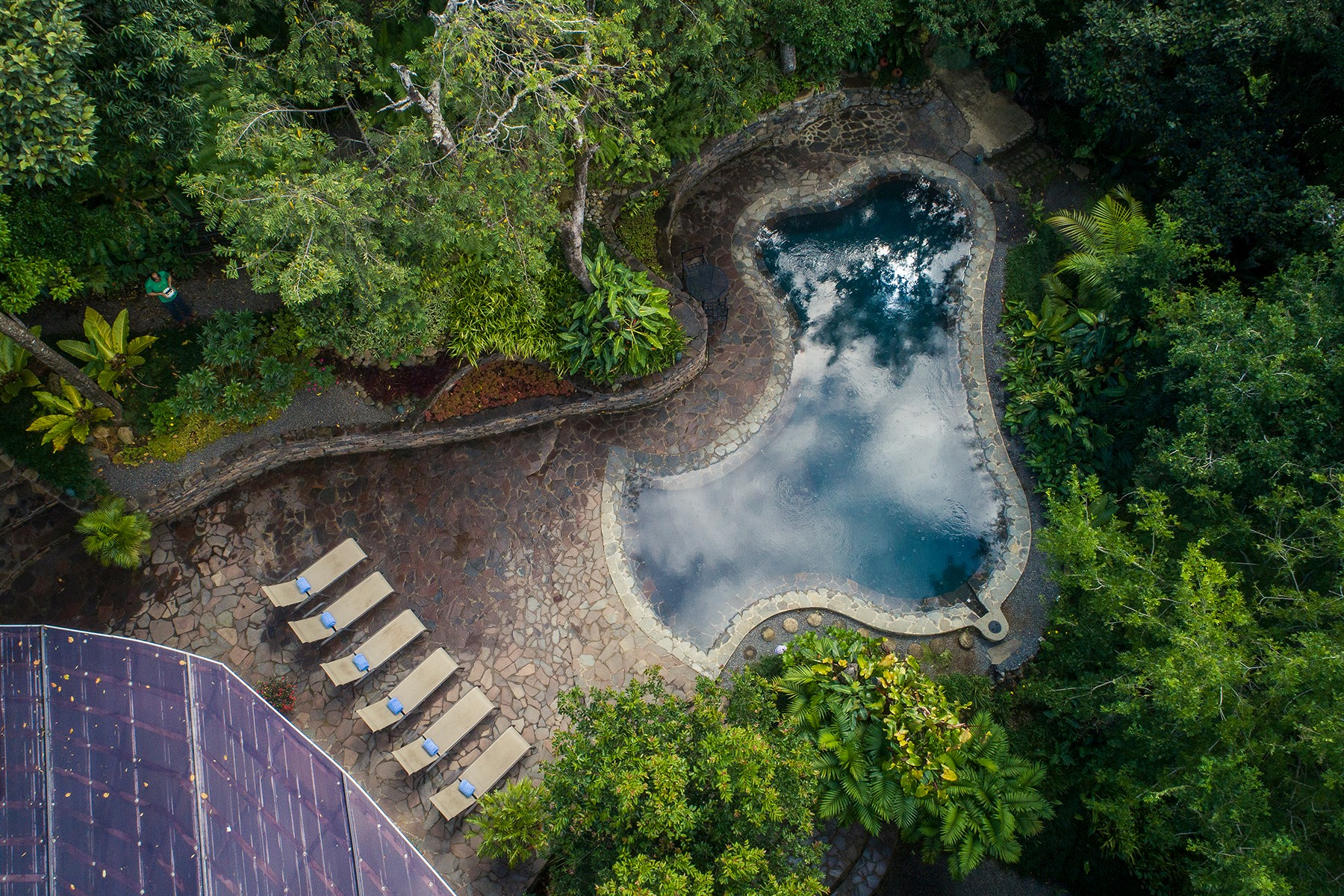 Außenansicht des Poolbereichs des Monteverde Lodge and Gardens