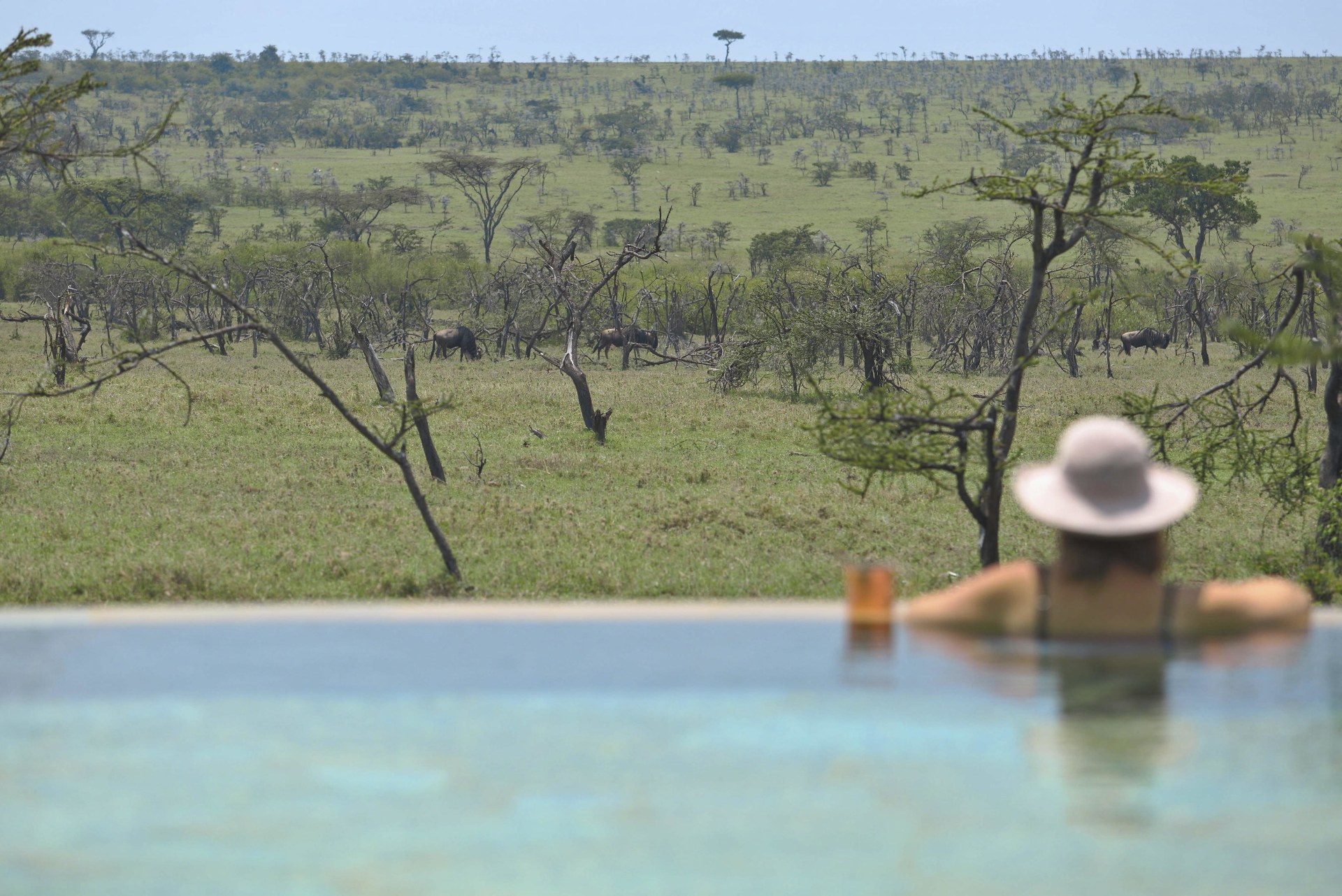 Aussicht vom Swimmingpool des Naboisho Camp